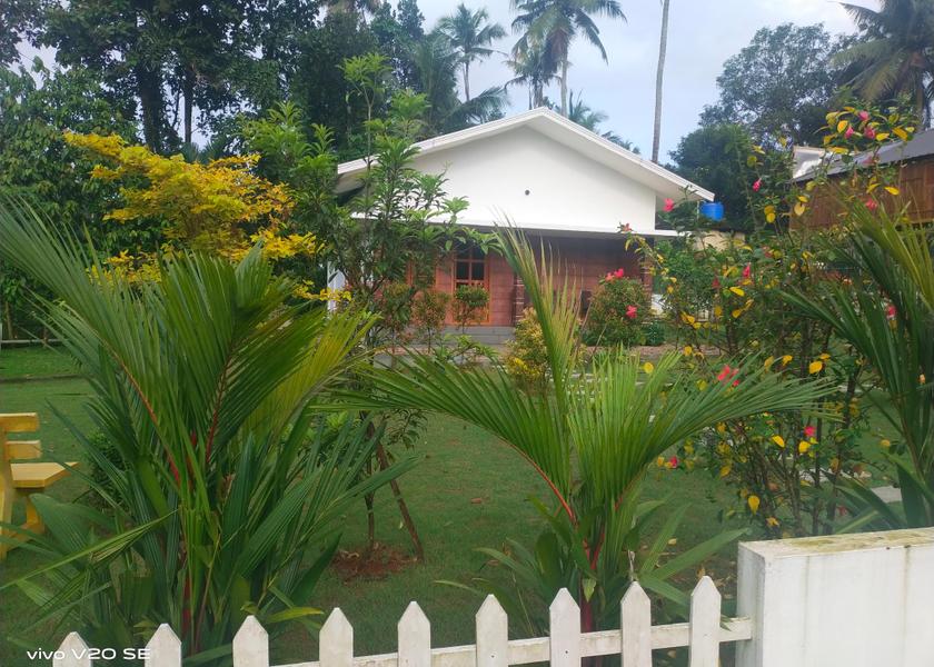 Kerala Thattekad 