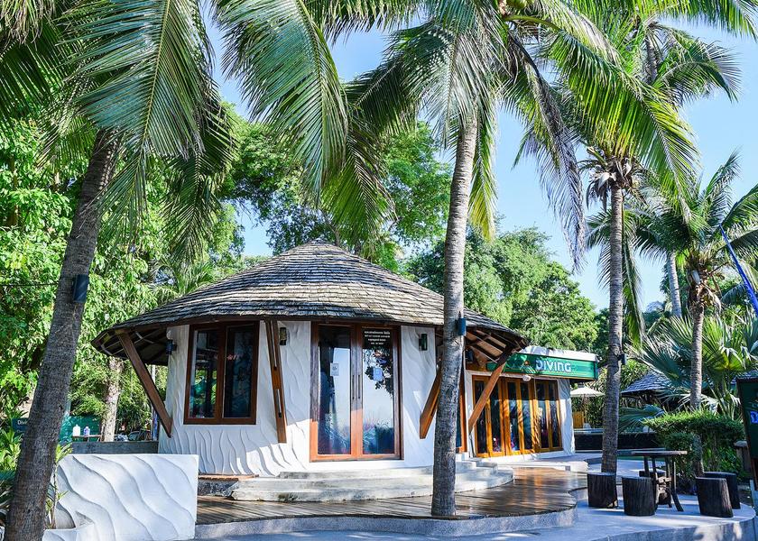 Surat Thani Province Koh Tao Interior view