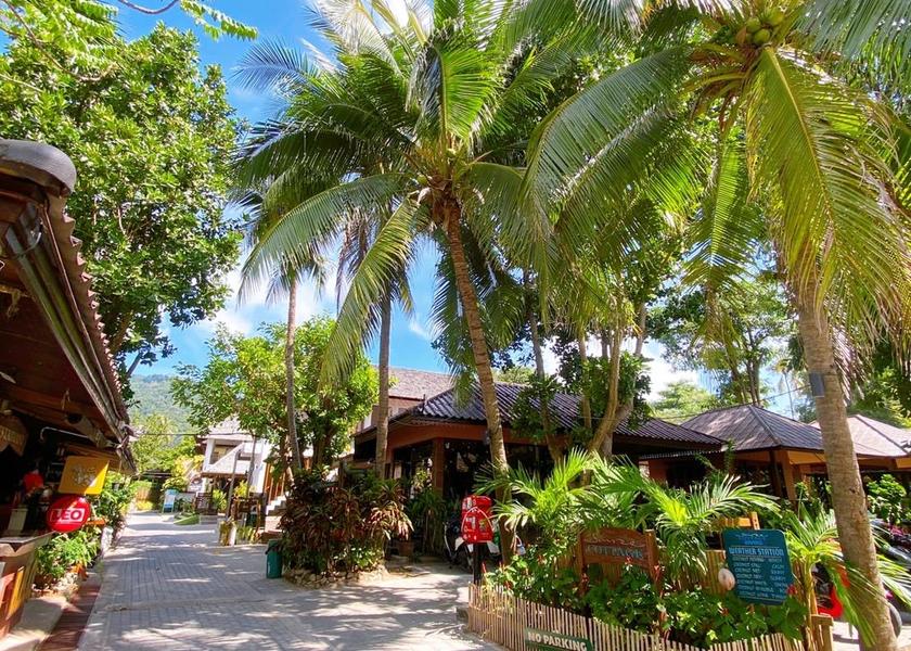 Surat Thani Province Koh Tao Interior view