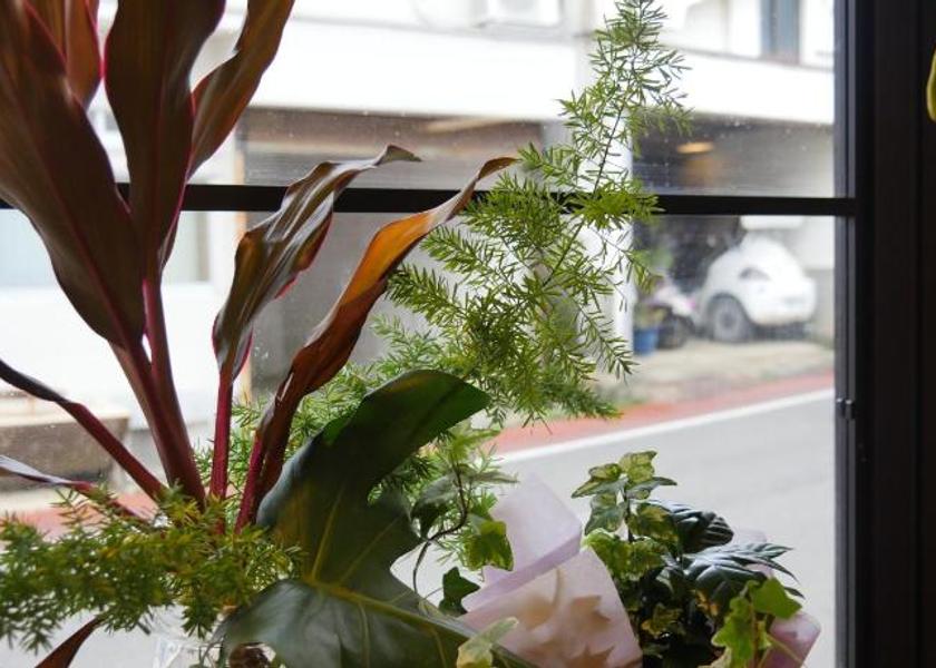 Kagoshima Yoron 
