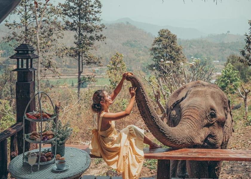 Chiang Mai Province Mae Wang 