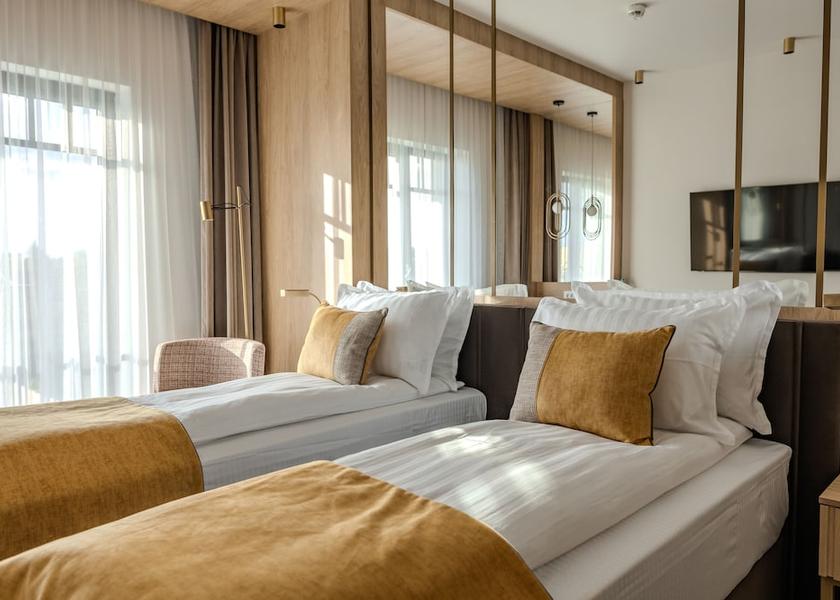 Timiş Timisoara Room