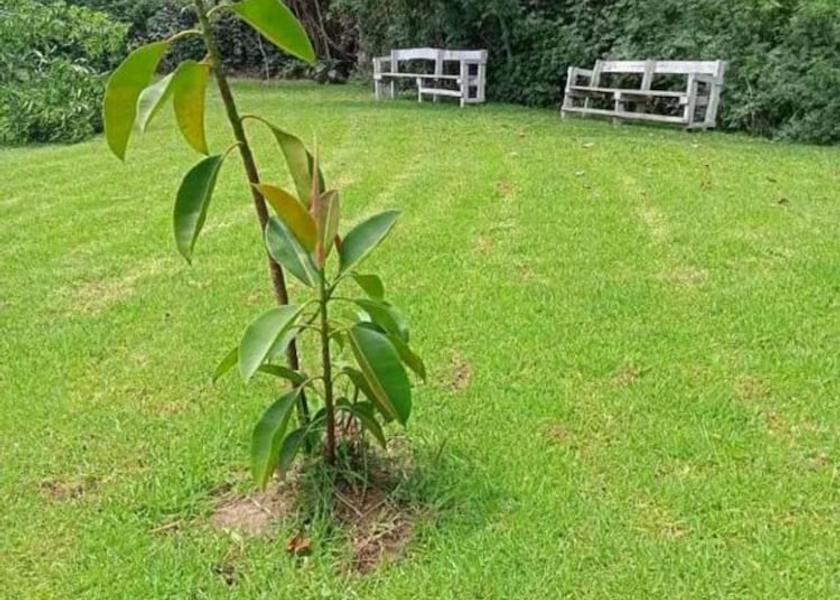 Nakuru County Naivasha Garden