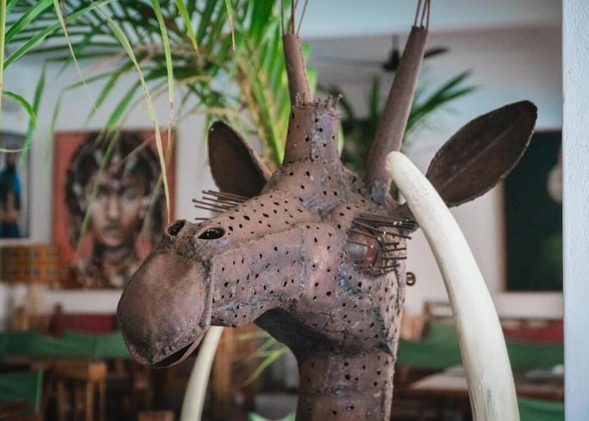 Kilifi County Watamu Garden