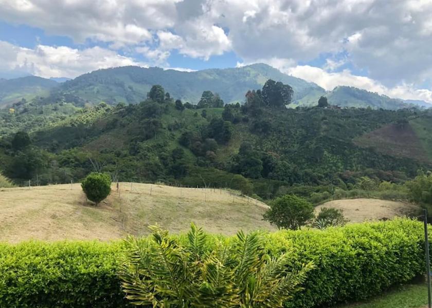 Quindío Calarcá Mountain view