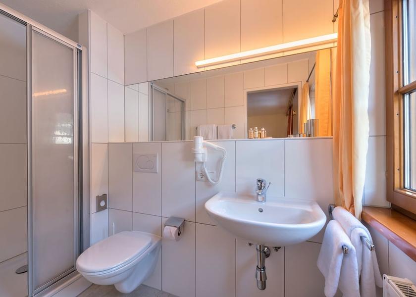Tyrol Sankt Anton am Arlberg Bathroom