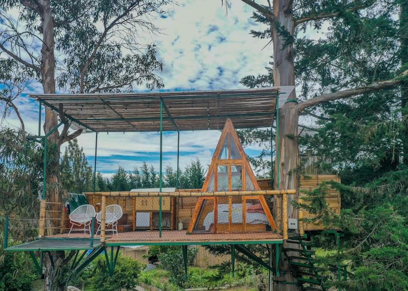 Pichincha Tababela Room