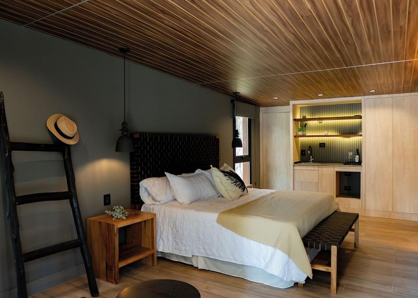 Mendoza Province Chacras de Coria Room