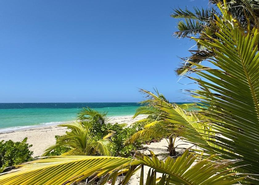 Bay Islands Roatan Beach