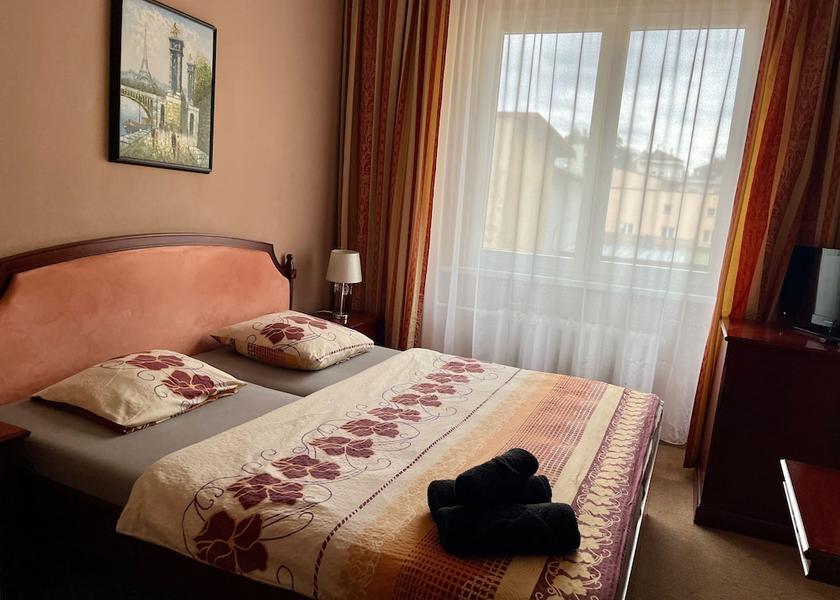 Karlovy Vary Region Marianske Lazne Room