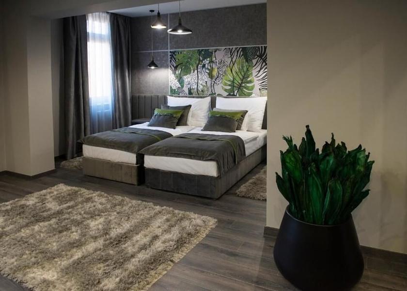 Bacs-Kiskun Kecskemet Room