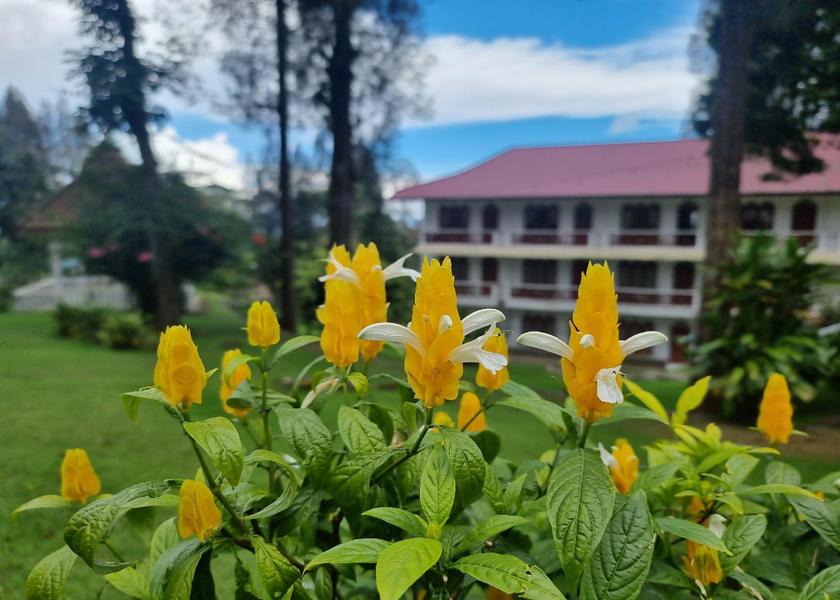 North Sumatra Berastagi Garden