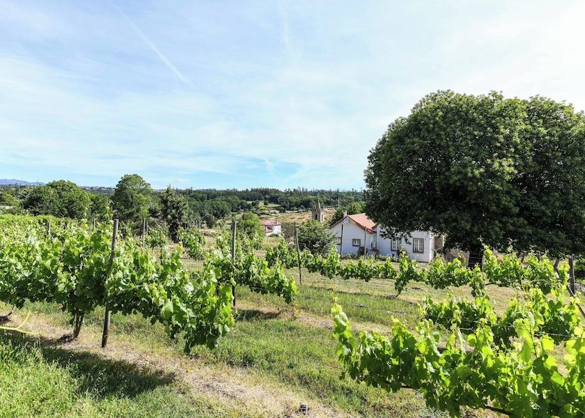 Viseu Santa Comba Dao Land view from property