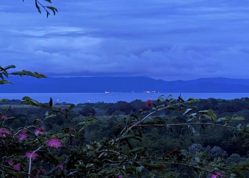 Puntarenas Province Puerto Jiménez Miscellaneous