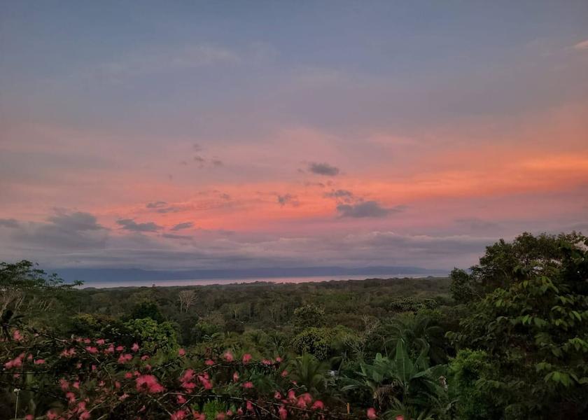 Puntarenas Province Puerto Jiménez Miscellaneous