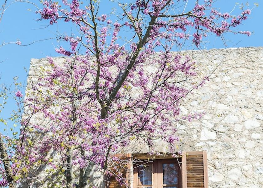 Balearic Islands Son Servera Exterior