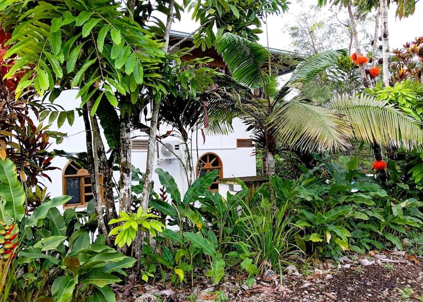 Napo Misahualli Exterior