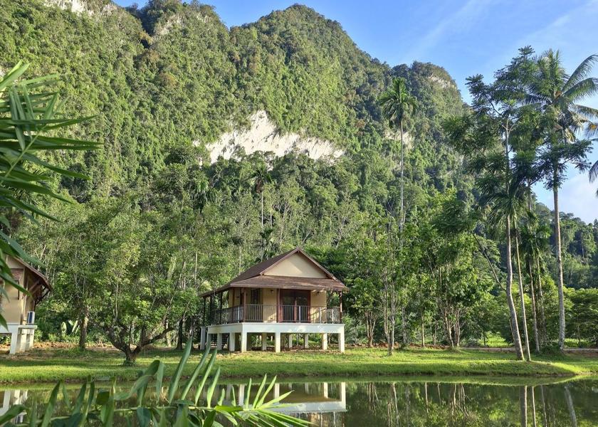 Surat Thani Province Phanom Surrounding environment