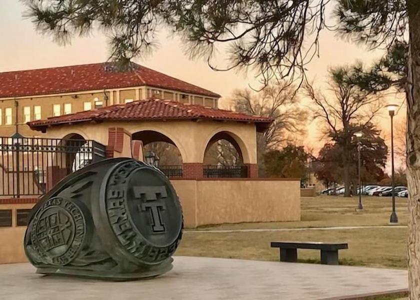Texas Lubbock Property grounds