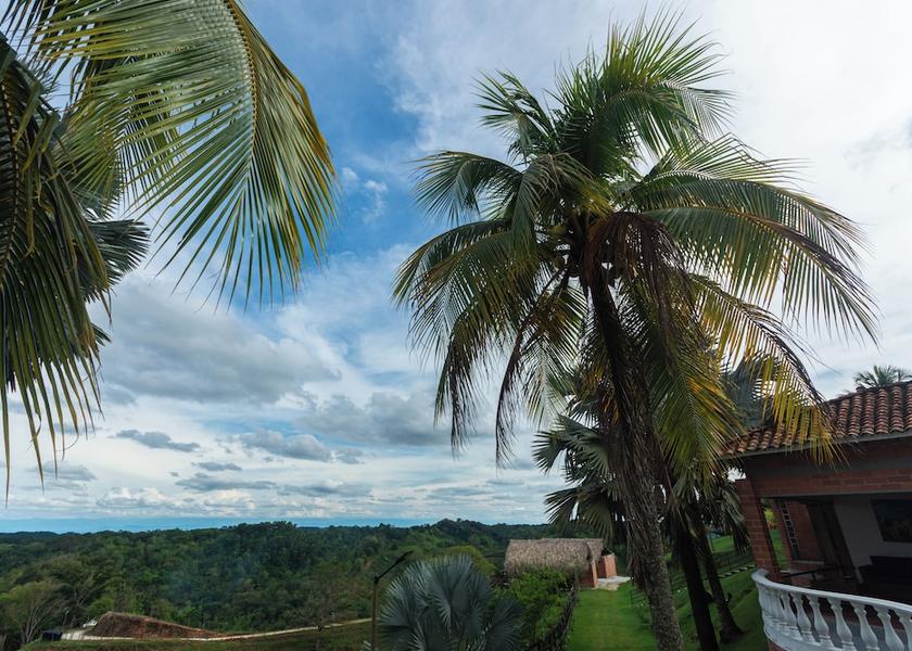 Antioquia Puerto Triunfo View from property