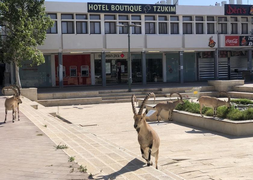 Southern Ramat Negev Front of property