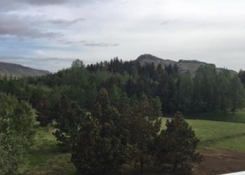 Southern Region Hrunamannahreppur Garden view
