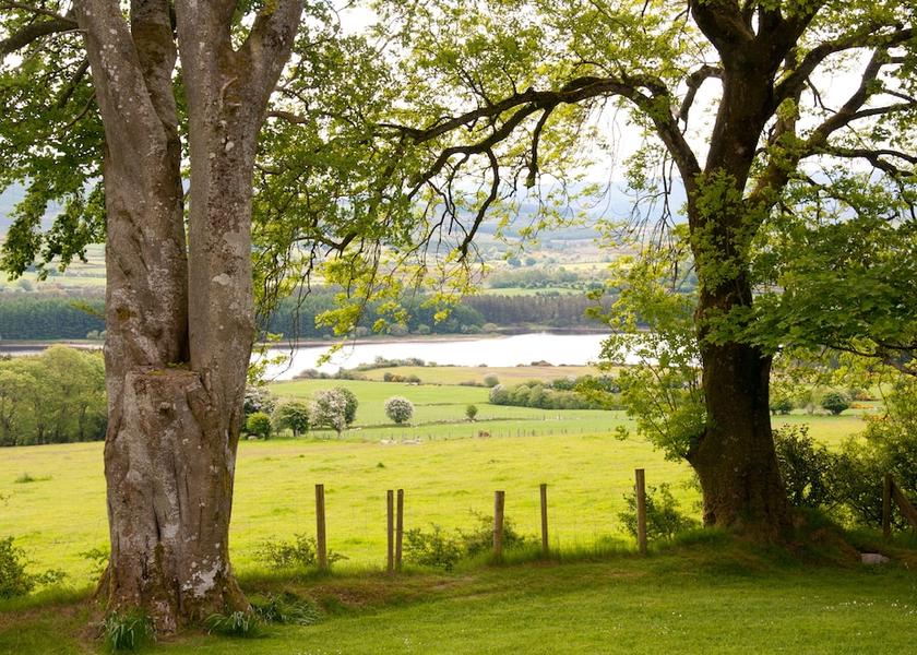County Wicklow Hollywood View from property