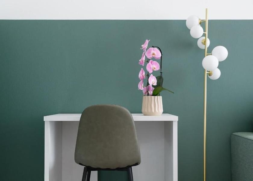 Canton of Ticino Locarno Room