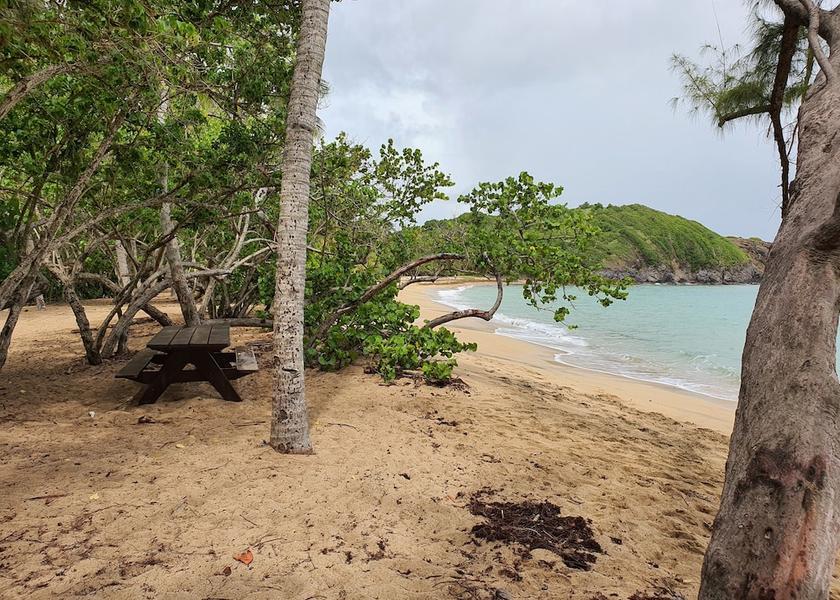  Tartane Beach