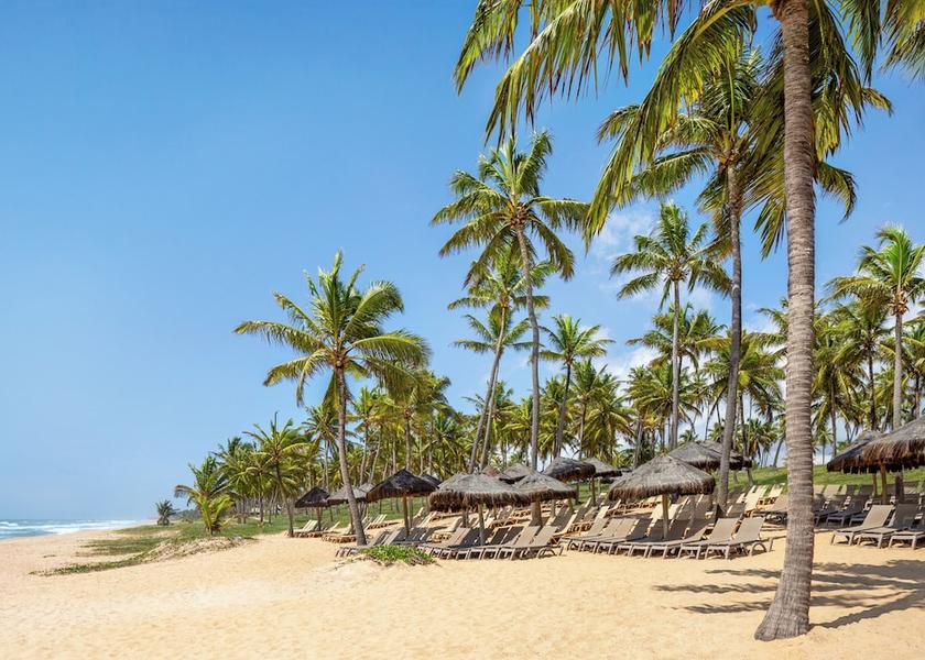 Bahia State Mata de São João Beach
