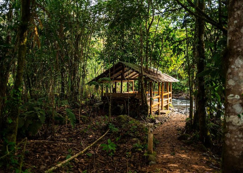 Pichincha Mindo BBQ/picnic area