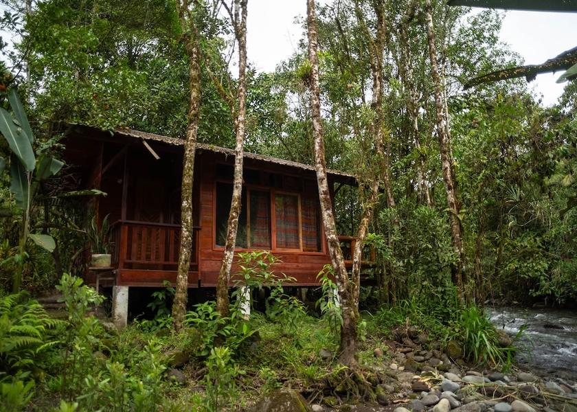 Pichincha Mindo Primary image