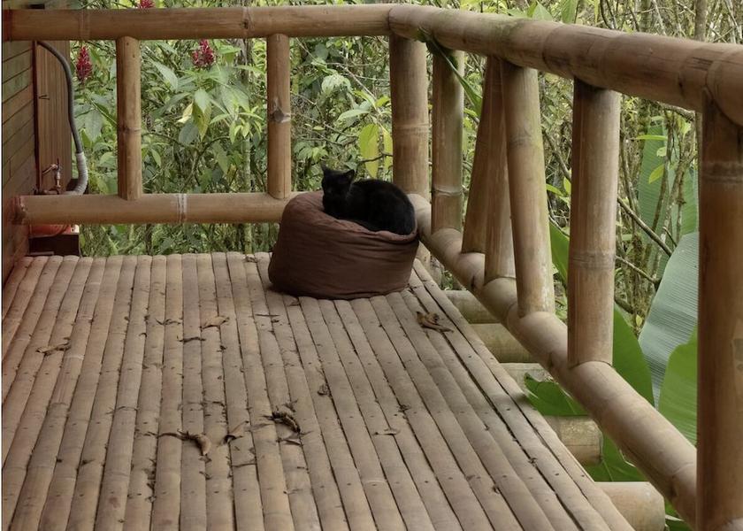 Pichincha Mindo Terrace/patio