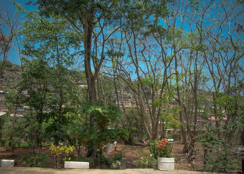 Western Area Freetown View from property