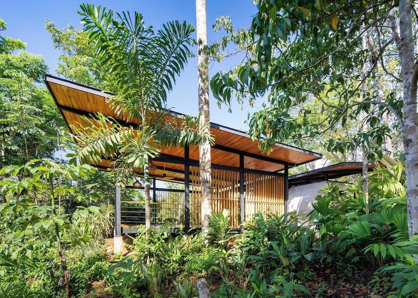 Puntarenas Province Puerto Jiménez Exterior