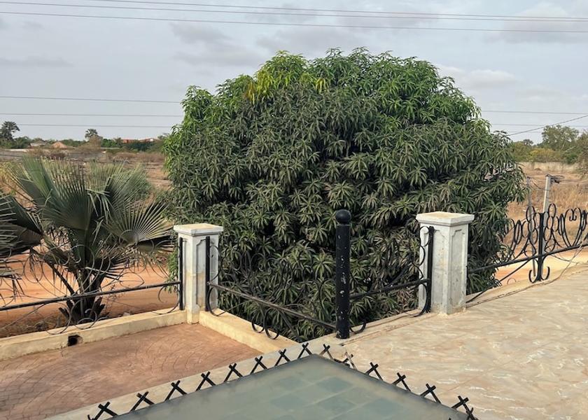 Thiès Region Mbour View from property
