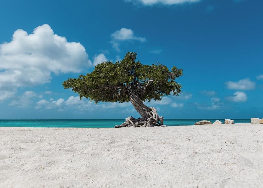  Oranjestad Property amenity