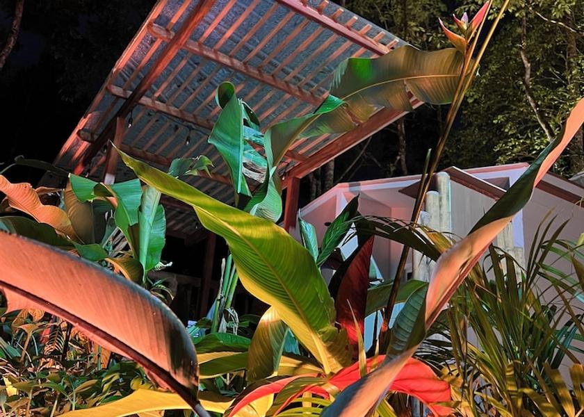 Pichincha Mindo Exterior