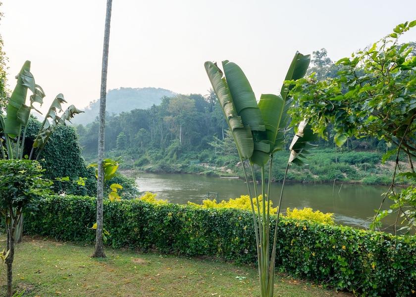 Sabaragamuwa Province Kithulgala View from property