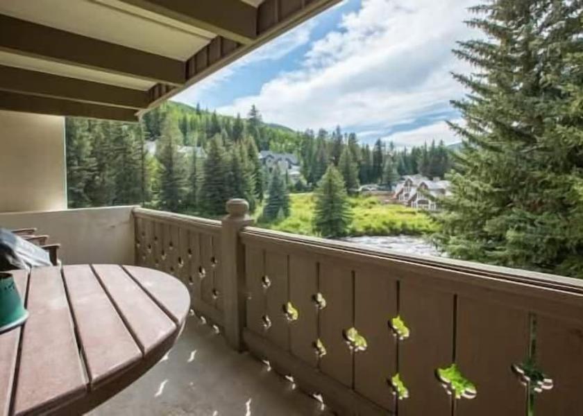 Colorado Vail BBQ/picnic area