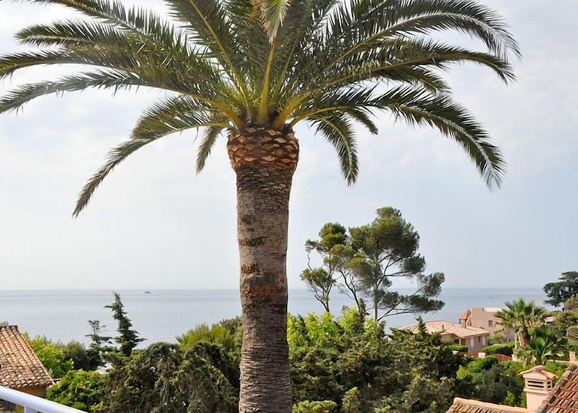 Provence-Alpes-Côte d'Azur Fréjus Exterior