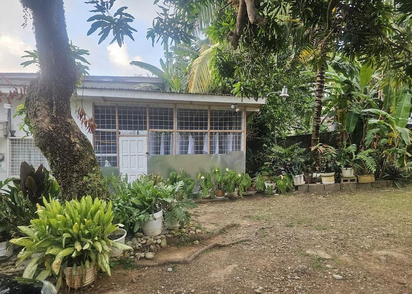 Tobago Charlotteville Garden