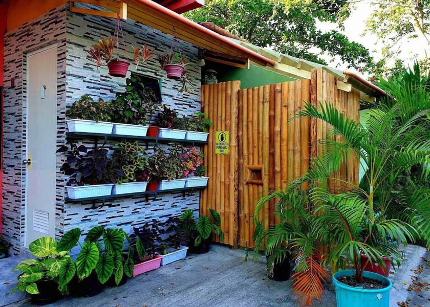 Central Visayas Moalboal Garden