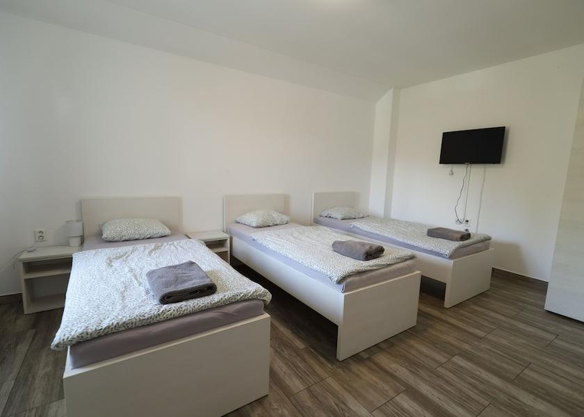 Plzen Region Plzen Room