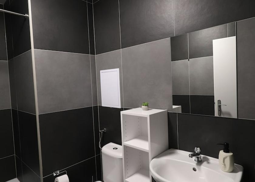 Plzen Region Plzen Bathroom
