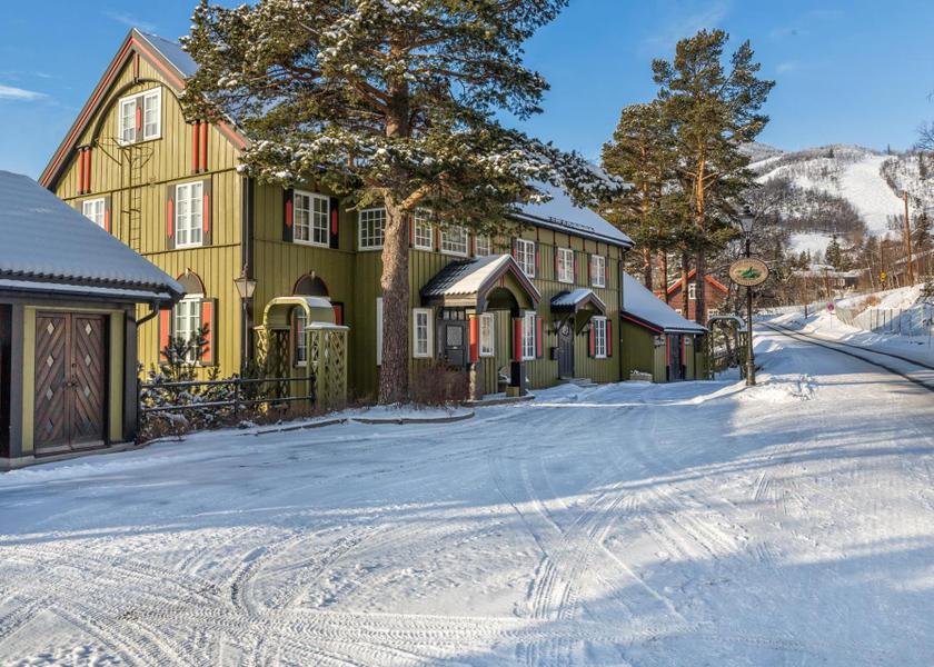 Buskerud Hol 