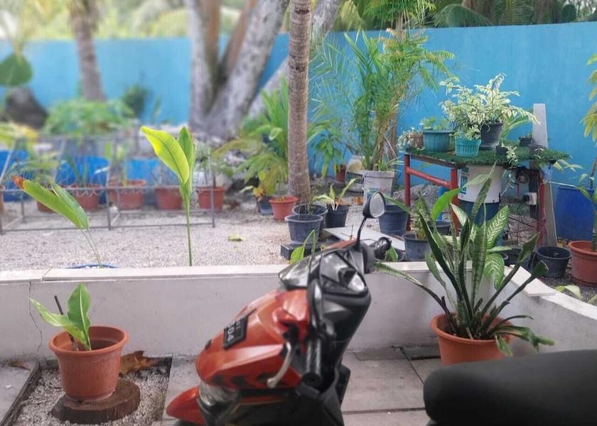 Gnaviyani Atoll Fuvahmulah Property grounds