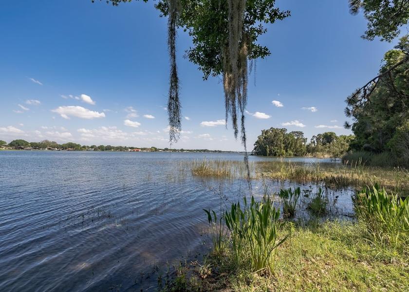 Florida Lake Placid Property grounds