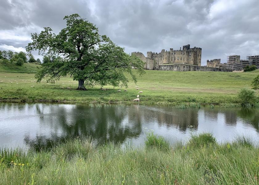 England Alnwick Point of interest