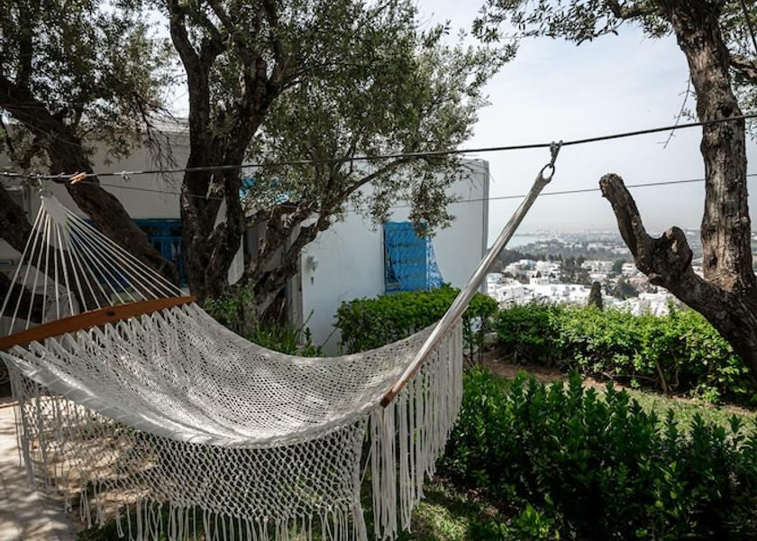  Sidi Bou Said Garden